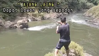 Sungguh beruntung !! Orang Dayak ini ikut mancing dapat mahseer babon