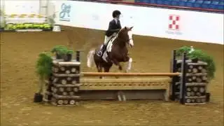 Enya- The River Sings (Horses)