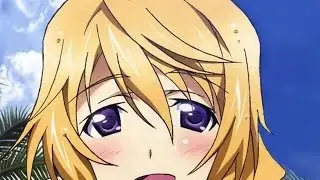 A Quick Look At: Infinite Stratos