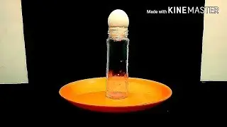 5 Awesome Magic trick with Egg!