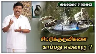 சிட்டுகுருவிகளை காப்பது எவ்வாறு?(Chittu Kuruvi)