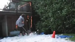 BACKYARD SHRED