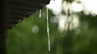 Rain 10 Hours
