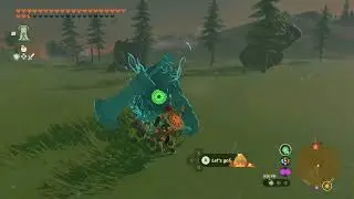 Rare Ore Deposit x2, Irch Plain Well | The Legend of Zelda: Tears of the Kingdom
