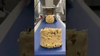 Cookie Dough Slicing Machine: Automated Food Processing#CookieDough #FoodProcessing