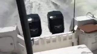 Bobby Barracuda and Johnny Jellyfish 1995 Bayliner Trophy Test!
