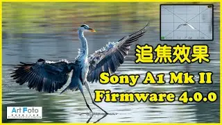 【攝影教學/器材速遞 #629】Sony A1 Mk II Firmware 4.0.0 追焦效果 600mm F4 (CC 中文字幕) - Alex Fung FRPS, GMPSA