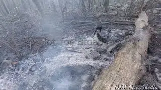 11-8-20 Dauphin Borough, Dauphin County, PA mountain fire