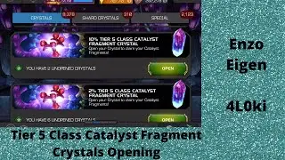 Tier 5 Class Catalyst Shard Crystal Opening