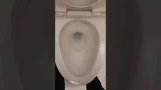 #2: (Vietnam toilet 🇻🇳) INAX Eco-X-flushing toilet at a mall