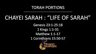 Torah Study