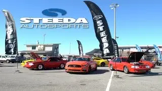Steeda Pony Wars 2016 - Steeda