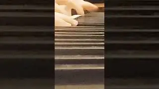 middei paolo~smoke gets in your eyes(rallentato-slow)=piano facile easy tutorial