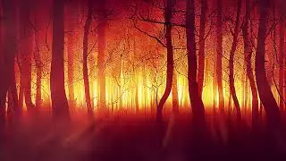 Nature, Rays of the Sun ⦁ Free Footage for Video editing | Футажи-Мутажи