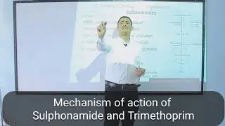 Mechanism of action Sulphonamides and Trimethoprim