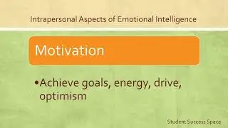 Intrapersonal Aspects of Emotional Intelligence - MBTI Introverts