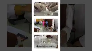 Praktikum Laju Reaksi Sederhana Kimia Kelas 11  #lajureaksi #chemistry #praktikumkimia #science