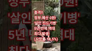 충격 정부 예산 0원! '살인 진드기병' 5년 만에 역대 최다 발생!(사망률 18.5%) #시니어정보 #노인건강 #장수비결 #건강정보 #무병장수#진드기#쇼츠#shorts