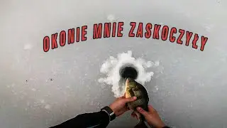 Żwirownia WOJANÓW szukanie OKONI #13
