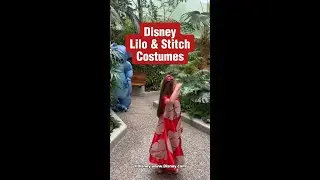 Where's Stitch?!