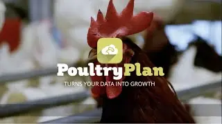 Poultry Farm Management Software - Turn your data into growth