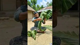 I made an elephant from coconut leaves | Hand Crafts | Village Art | Leaf Crafting #ai #craft