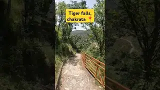 Tiger falls close due to tree collapse 😭 watch our full vlog #tigerfalls #chakrata #uttarakhand