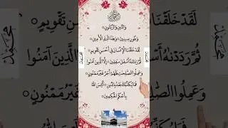 Surah At-Teen with Finger Tracking☝️#surahattin​​​​​​​​​ #quran​​​​​​​​​ #quranrecitation #shorts