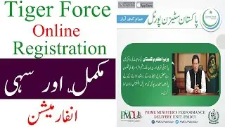 Tiger Force Online Registration - Complete and accurate information