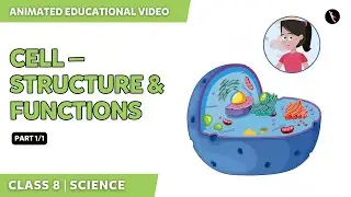 Cell &mdash; Structure And Functions | NCERT Science Class 8 Chapter 8 | English Explanation | TicTacLearn