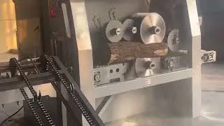 Log cutting multi rip saw with log loading rack
