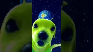 #memes# the alien dog👍