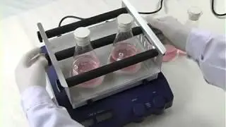 Digitale laboratorium schudders