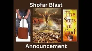 PROPHETIC WORD - ANNOUNCEMENT OF THE SONS OF GOD#god #propheticword #jesus #tnt