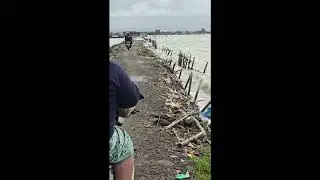 KETUA DPRD DEMAK ZAINUL FATA MENINJAU ABRASI DI DESA TIMBUL SLOKO