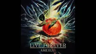 AMEJILU『LiVE FOREVER』(Indie Release)