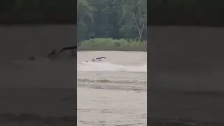 Fast Boat 2 on Mississippi River