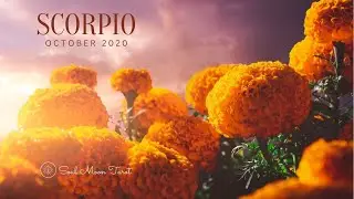 SCORPIO October 2020