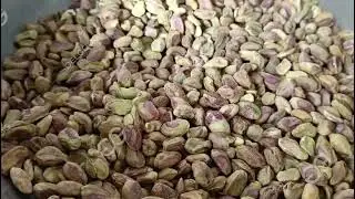 2022 Pistachio Powder Grinding Machine From Cara@machinehall.com 008613015518550