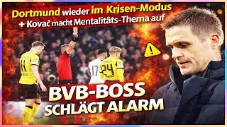 BVB schl&auml;gt Alarm! Dortmund zur&uuml;ck im Krisen-Modus nach Tottenham-Pleite