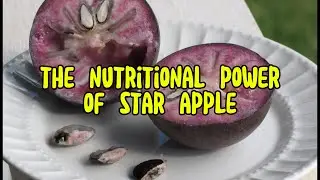 Star Apple: The Superfruit Packed with Incredible Nutrition!