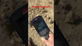 Learning the Minelab Manticore, Great target ID!