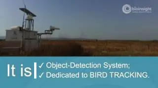 M.A.R.S. - Merlin Avian Radar System
