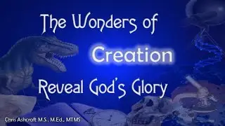 The Wonders of Creation Reveal God's Glory