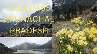Sela Pass,Tawang A.P...Tourists Hub