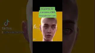 le cannabis sativa et indica