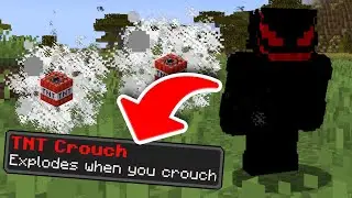 Minecraft But, There Are Custom Crouches...!! #minecraftbut #minecraft