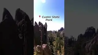 State Park with the most scenic drives in Black Hills Region: Custer State Park #scenicdrive #shorts
