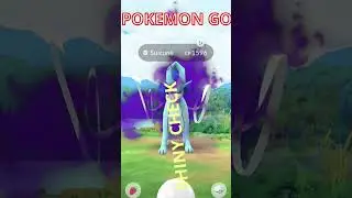 POV YOU ENCOUNTER A SHADOW SHINY SUICUNE IN POKEMON GO! #pokemon #pokemogo #shinypokemon