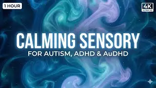Ultimate Autism / ADHD / AUDHD Music Sensory Therapy Visuals for Meltdown Relief for Kids and Adults